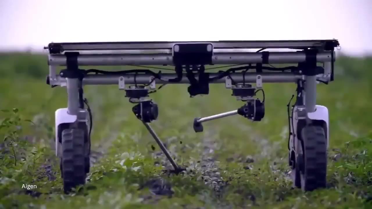Sometimes the best robot just pulls weeds